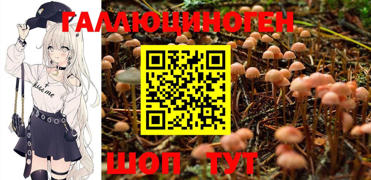 Псилоцибиновые грибы Psilocybe  Псилоцибиновые грибы MAGIC MUSHROOMS  Вход с VPN  Учалы 