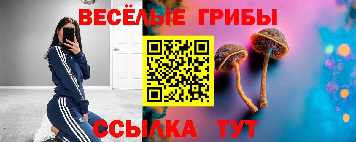 Галлюциногенные грибы GOLDEN TEACHER Учалы